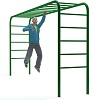 Inshape Horizontal Ladder