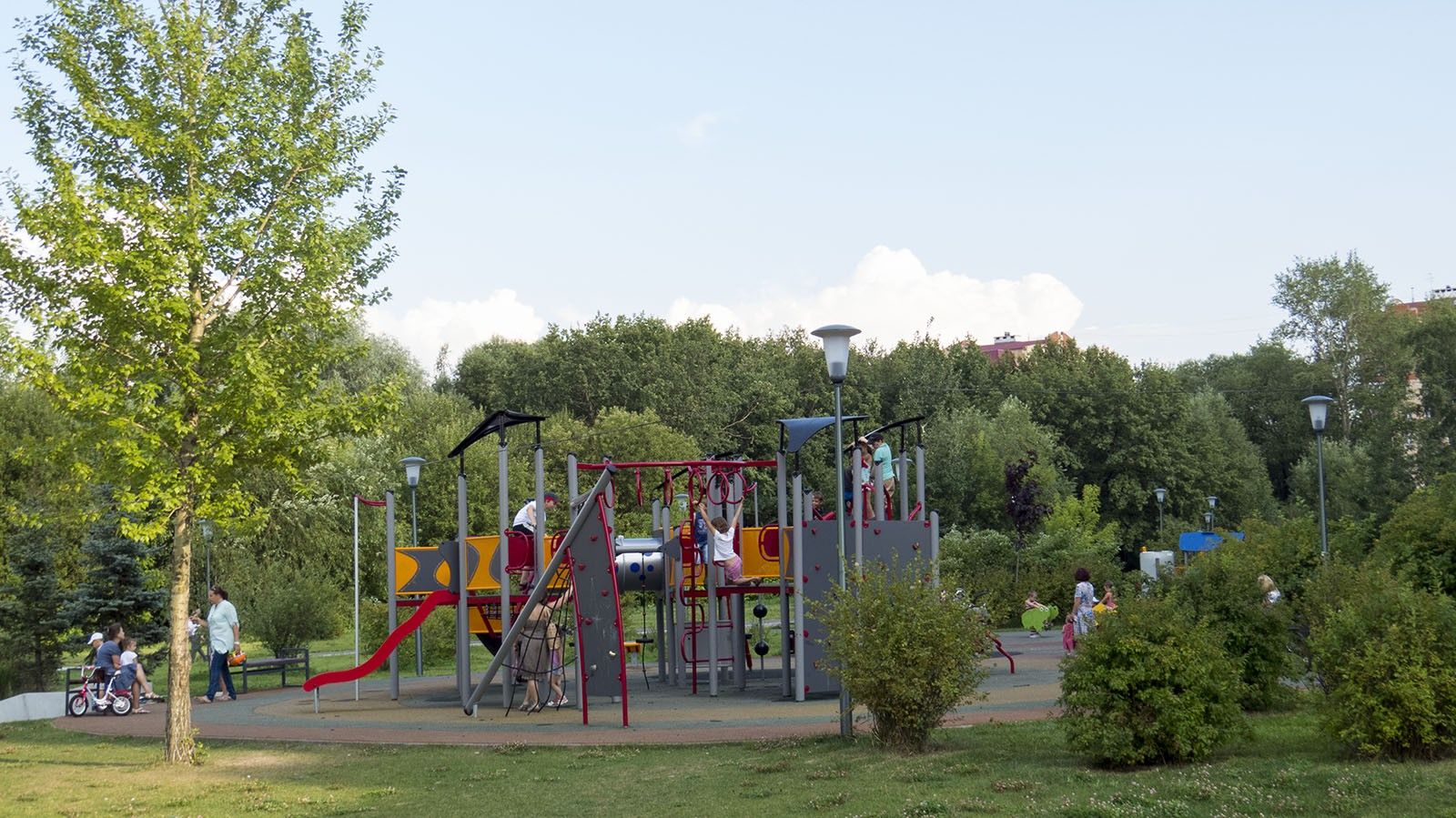 Народный парк Дубрава (Куркино)